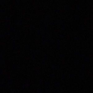 Meet your Posher, Tanner